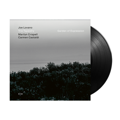 Joe Lovana: Garden of Expression LP